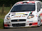 Basso-Dotta
