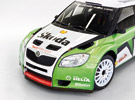 skoda_03.jpg