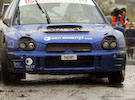 galway08bird.jpg