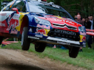 Sordo