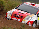 Prokop