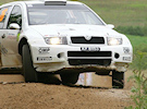 Mikkelsen