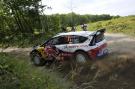 thumb_05loeb.jpg